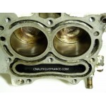 POWERHEAD 9.9 - 15 HP 4S JOHNSON 5032716