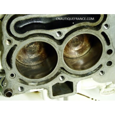 POWERHEAD 9.9 - 15 HP 4S JOHNSON 5032716