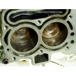 POWERHEAD 9.9 - 15 HP 4S JOHNSON 5032716