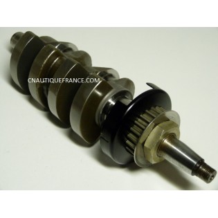 ALBERO A GOMITI 9.9 - 15 HP 4S EVINRUDE JOHNSON 337184