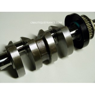 CRANKSHAFT 9.9 - 15 HP 4S EVINRUDE JOHNSON 337184