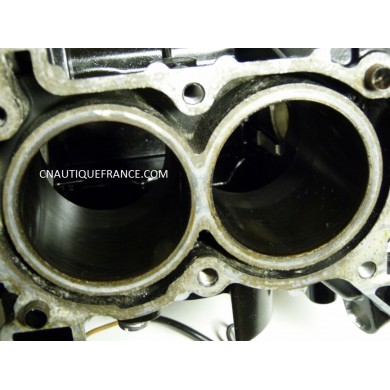 CRANKCASE CYLINDER BLOCK 9.9 - 15 HP 4S JOHNSON EVINRUDE 1995 - 2001