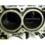 CRANKCASE CYLINDER BLOCK 9.9 - 15 HP 4S JOHNSON EVINRUDE 1995 - 2001