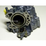 BLOCCO MOTORE 2.5 CV 4T YAMAHA 69M