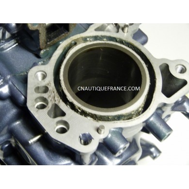 CARTER BLOC MOTEUR 2.5 CV 4T YAMAHA 69M