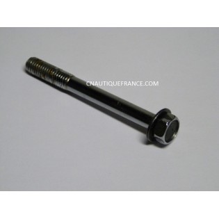 BULLONE SUZUKI 01560-08787