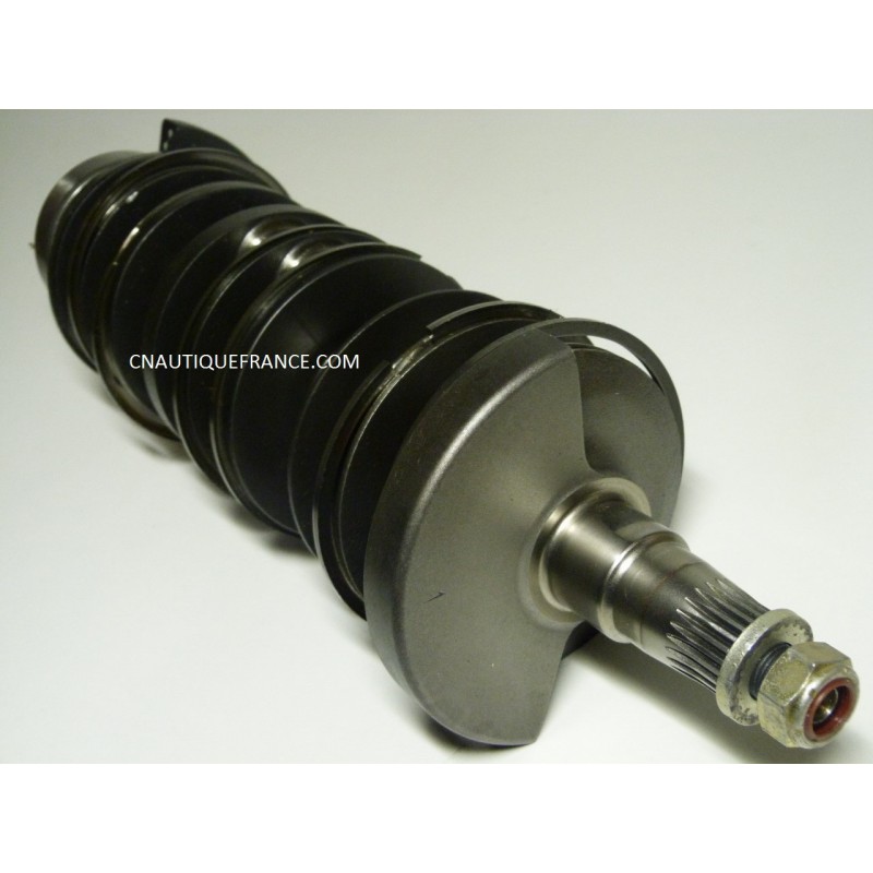 VILEBREQUIN 115 - 200 CV 2T MERCURY 455 - 850690T 2