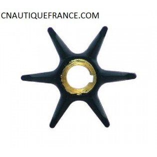 TURBINE POMPE A EAU 9.5 - 10 CV ADAPTABLE JOHNSON - EVINRUDE 