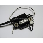 BOBINA DI ACCENSIONE 75 - 90 CV 2T YAMAHA