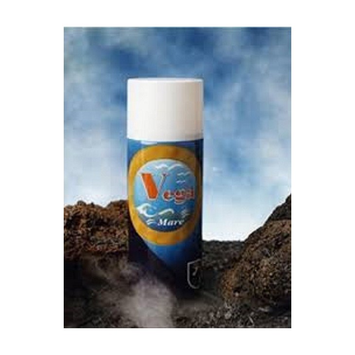 Bombe peinture BMW - ARGENT