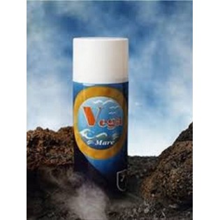 Bombe peinture BMW - ARGENT