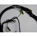 HARNESS 80 HP 2S YAMAHA 6H0 - 80AET