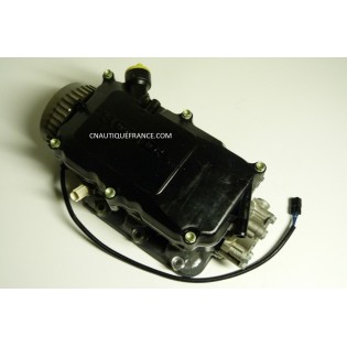 CULASSE 25 CV 4T HONDA BF25