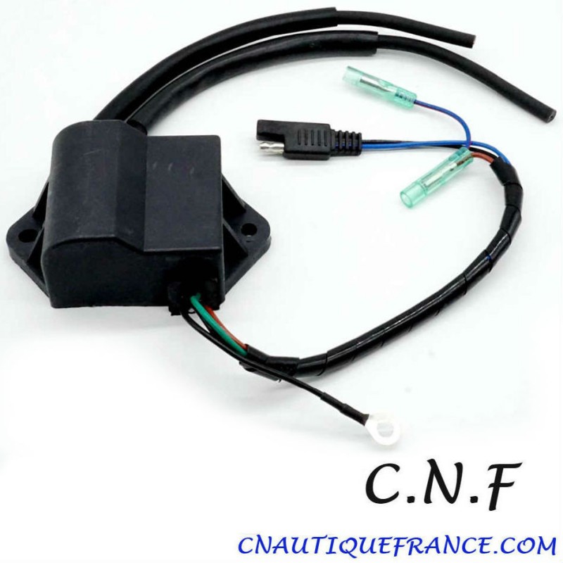 Module Bobine Allumage Moteur Hors-bord Aramox Pour Evinrude Johnson 1.5-40hp