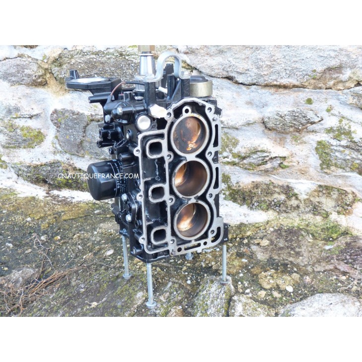 F25 F30 - TETE MOTRICE 25 - 30 CV MERCURY