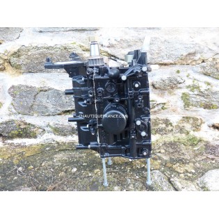 F25 F30 - TETE MOTRICE 25 - 30 CV MERCURY