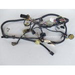 FAISCEAU DE CABLES 60 - 70 CV 4T SUZUKI DF60 DF70 36610-99E01