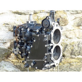 50 CV - TETE MOTRICE EVINRUDE E-TEC