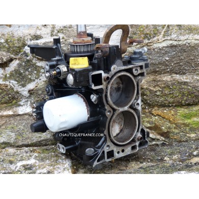 9.9 - 15 HP 4S - POWERHEAD EVINRUDE JOHNSON