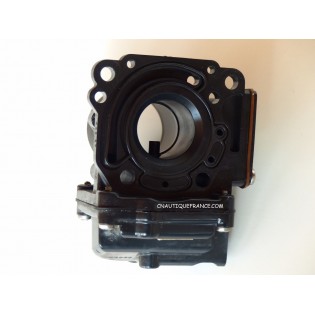 150 CV - CARBURATEUR EVINRUDE JOHNSON