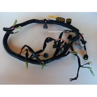 FAISCEAU ELECTRIQUE 40 - 50 CV 2T TOHATSU NISSAN