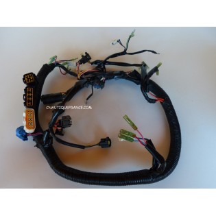 HARNESS 40 - 50 HP 2S TOHATSU NISSAN