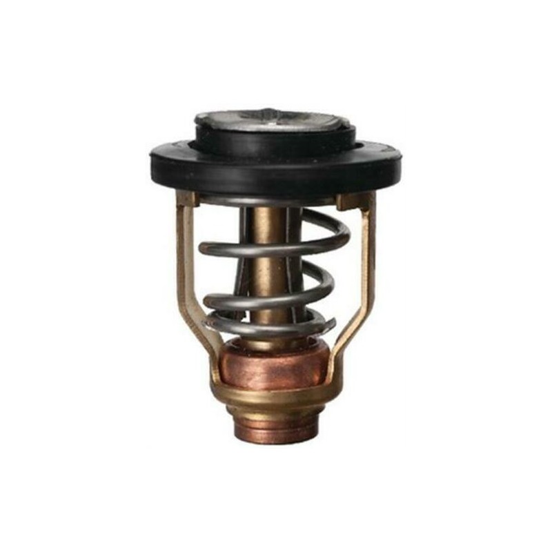 F100 - Z300 - THERMOSTAT POUR YAMAHA MERCURY