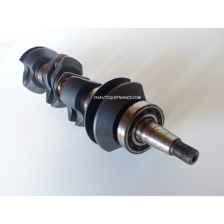 120 CV - VILEBREQUIN MERCURY FORCE