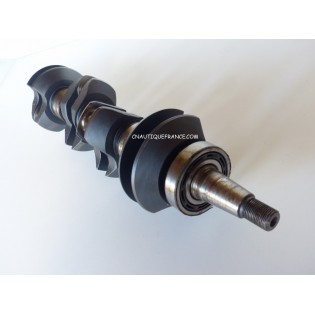 120 CV - VILEBREQUIN MERCURY FORCE