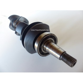 120 CV - VILEBREQUIN MERCURY FORCE