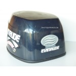 DF30 - CAPOT 30 CV 4T EVINRUDE