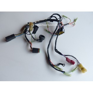 25 - 30 CV 4T FAISCEAU ELECTRIQUE EVINRUDE