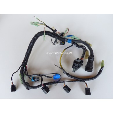 WIRE HARNESS 40 HP 4S YAMAHA 67C F40BET