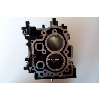 MFS9.8 - HAUT MOTEUR 9.8 CV TOHATSU 3V1