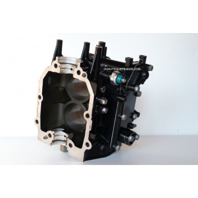 MFS9.8 - HAUT MOTEUR 9.8 CV TOHATSU 3V1