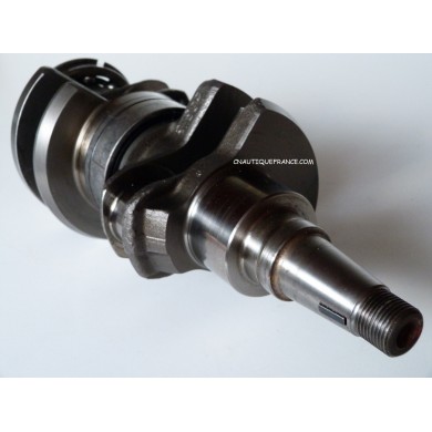 40 - 60 HP 2S - CRANKSHAFT EVINRUDE E-TEC