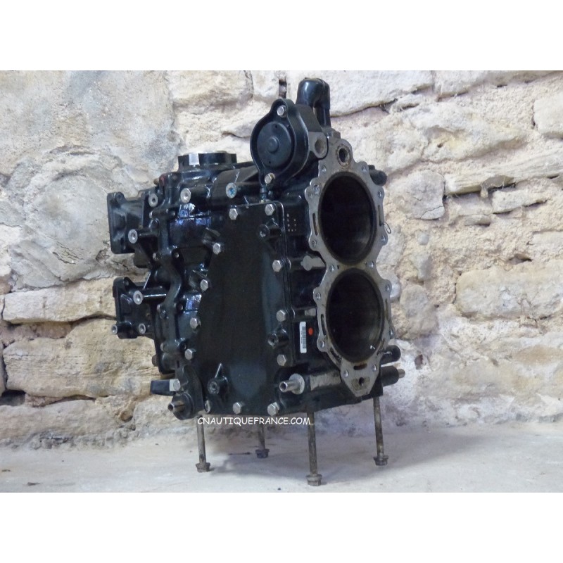 40 - 50 CV - BLOC MOTEUR EVINRUDE E-TEC