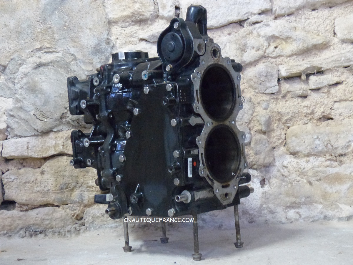 Cylinder Block 40 50 Hp Evinrude E Tec