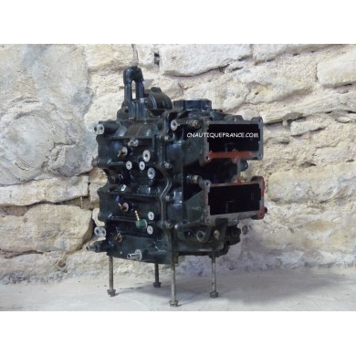 40 - 50 CV - BLOC MOTEUR EVINRUDE E-TEC