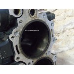 40 - 50 CV - BLOC MOTEUR EVINRUDE E-TEC