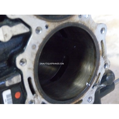 40 - 50 CV - BLOC MOTEUR EVINRUDE E-TEC