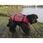 GILET CHIEN LARGE