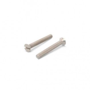 X MM - VIS FENDUE A TETE FRAISEE DIN 963