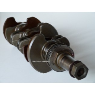 F50 - VILEBREQUIN 50 CV 4T YAMAHA 62Y