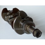 F50 - CRANKSHAFT 50 HP 4S YAMAHA 62Y