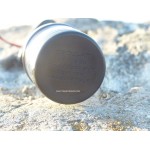 FEU DE MOUILLAGE SUR HAMPE 20 CM EN INOX