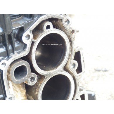 CARTER BLOC MOTEUR 9.9 - 18 CV 4T TOHATSU NISSAN