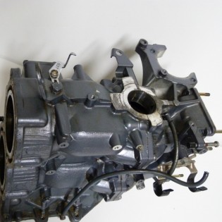 CARTER BLOC MOTEUR 55CV 2T - 663 - 697-15100