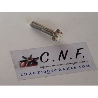 333676 BOULON EVINRUDE JOHNSON 0333676