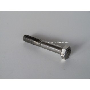 306500 - BOULON EVINRUDE JOHNSON